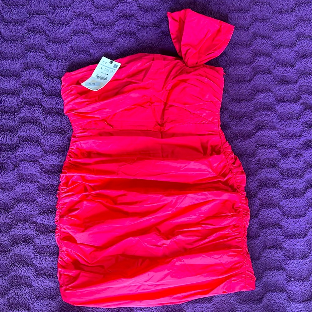 Zara Dress.